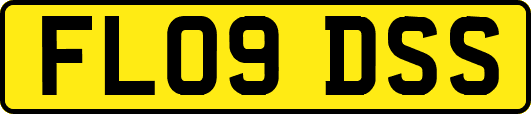 FL09DSS