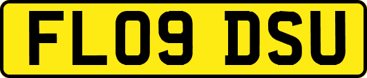FL09DSU