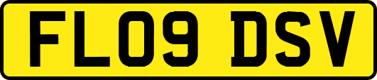 FL09DSV