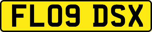 FL09DSX