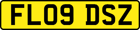 FL09DSZ