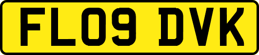 FL09DVK