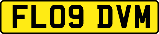 FL09DVM