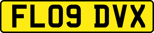 FL09DVX