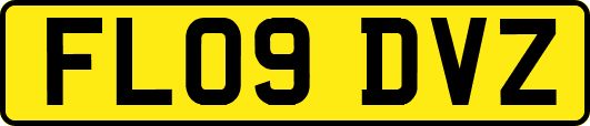 FL09DVZ