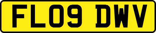 FL09DWV