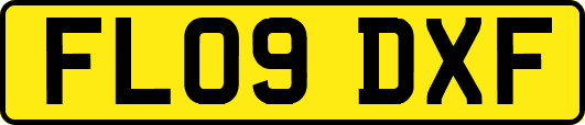 FL09DXF
