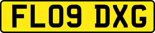 FL09DXG