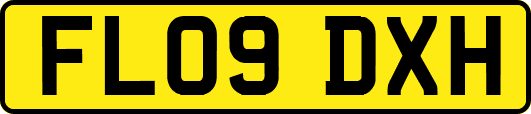 FL09DXH