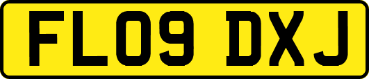 FL09DXJ