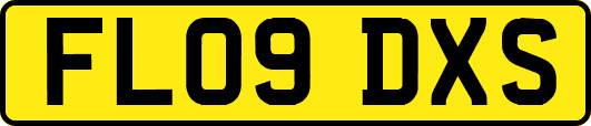 FL09DXS