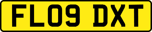 FL09DXT
