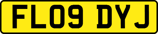 FL09DYJ