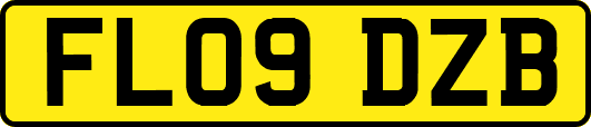 FL09DZB