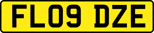 FL09DZE