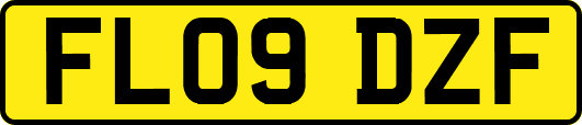 FL09DZF