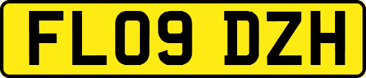 FL09DZH