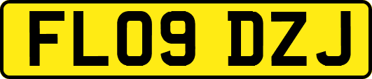 FL09DZJ