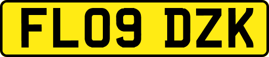 FL09DZK