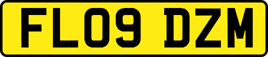 FL09DZM
