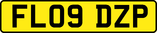 FL09DZP
