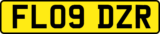 FL09DZR