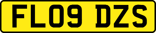 FL09DZS