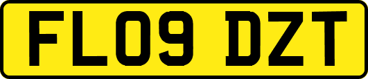 FL09DZT