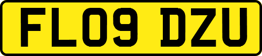 FL09DZU