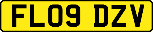 FL09DZV