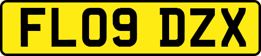 FL09DZX