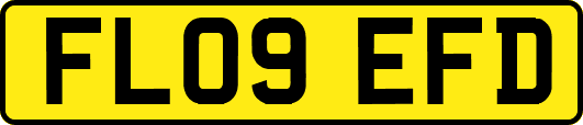 FL09EFD