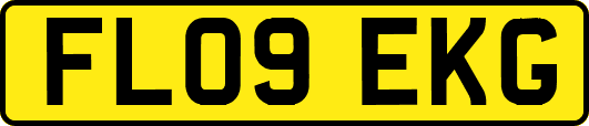 FL09EKG