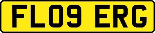 FL09ERG