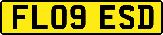 FL09ESD