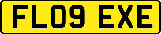 FL09EXE
