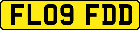 FL09FDD