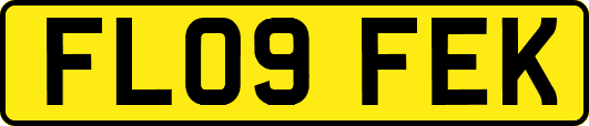 FL09FEK