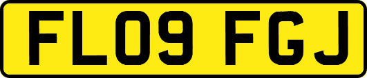 FL09FGJ