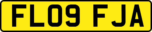 FL09FJA