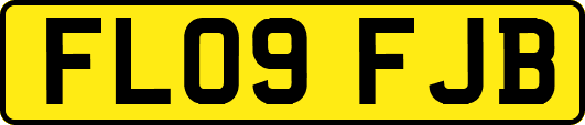 FL09FJB