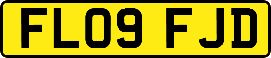 FL09FJD