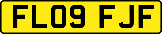 FL09FJF