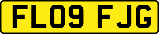 FL09FJG