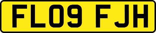 FL09FJH