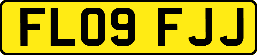 FL09FJJ