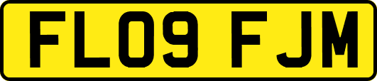 FL09FJM
