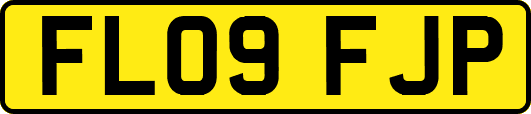 FL09FJP