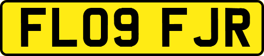 FL09FJR