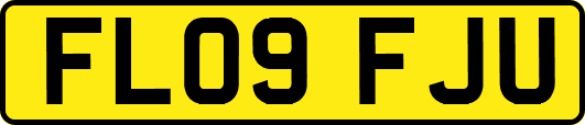 FL09FJU